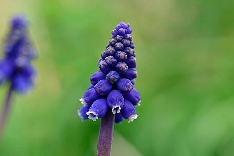 虎年文案金句(精选76句)