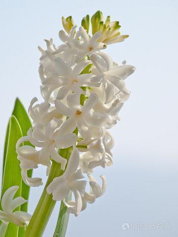 打点滴发朋友圈的幽默 打吊针发朋友圈经典词(精选58句)