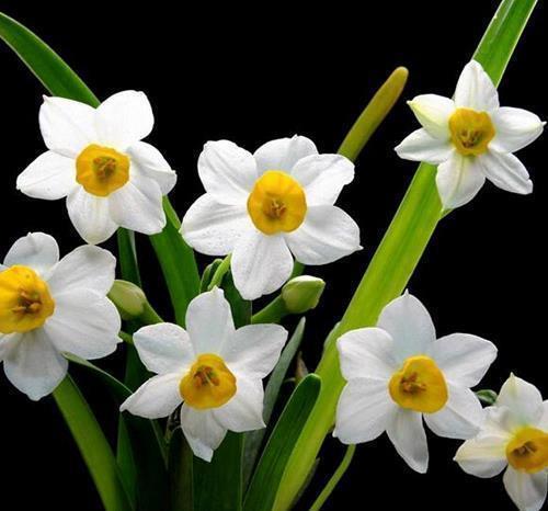 新学期开学寄语经典(精选73句)