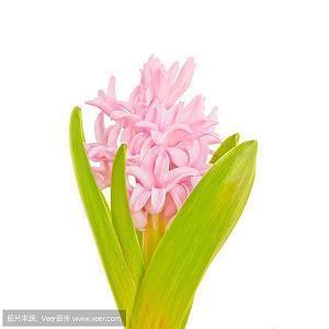 简短入心坎的情感句子 晚上发的朋友圈文案