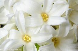 特别伤心却不后悔的句子14句