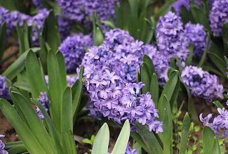 过年想念家人的句子 除夕思念家人的句子48句