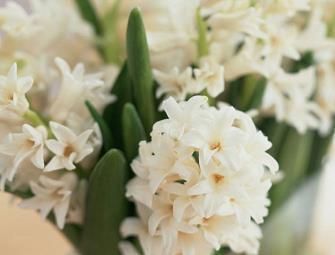 新年后开工第一天祝福语说说大全71句