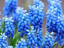 教师节语录经典感恩句子大全(精选96句)
