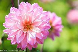 形容热爱的唯美句子 热爱生活的优美短句