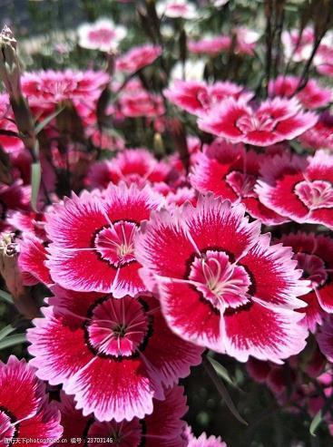 疼爱的感人句子