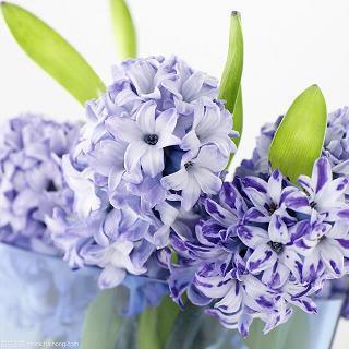 2020唯美的文艺句子99句