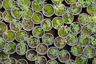 珍惜缘分的唯美句子37句