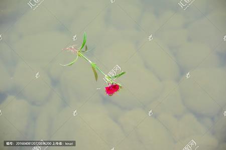 用向往造句怎么造 向往是什么意思