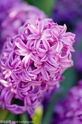 令人捧腹的搞笑语录 非常经典的搞笑语句