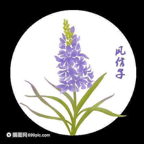 描写雨下的猛烈的句子简短(精选36句)