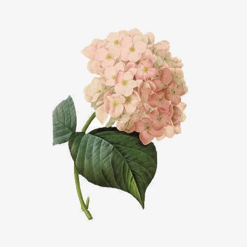 关于苦难的好词好句子摘抄大全 关于苦难的诗句 面对磨难的优