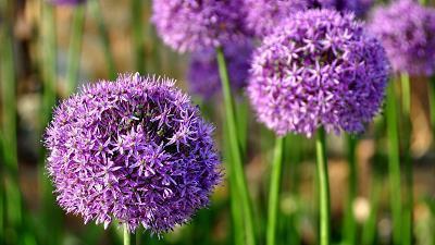 回首的唯美句子