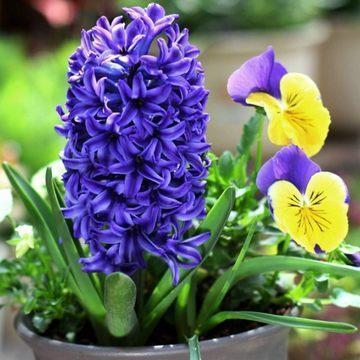 暖心不俗气生日祝福语最新文艺说说