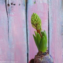 请求老婆原谅的话语