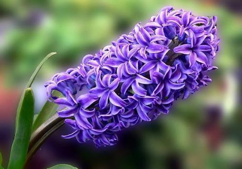 早安心语简单语句汇编39句