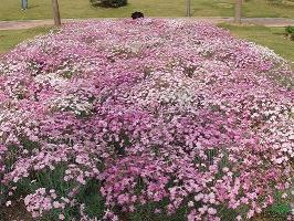 新年快乐愿望句子文字最新2022