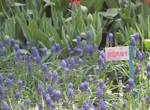 适合发晚安的说说锦集28句