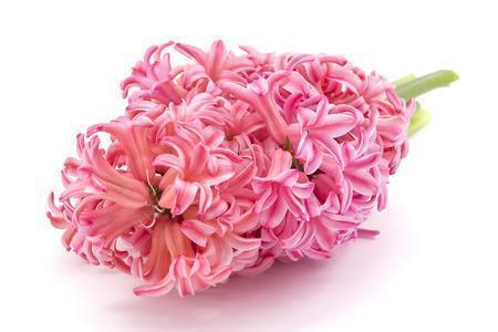 赞美玩的开心句子