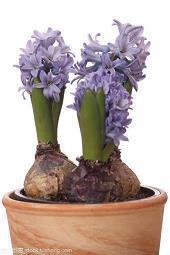 特别温柔干净适合女生的句子 森系干净短句汇总80句