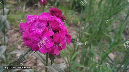 感动女朋友流泪的情话幸福很简单，就是我和你一直在一起