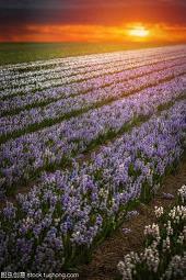 描写父亲节的优美句子80句汇总76句