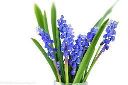 关于遇见的唯美句子