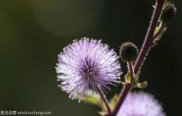 讽刺人的赞美句子锦集10句