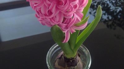 每天一句正能量的励志的一句话