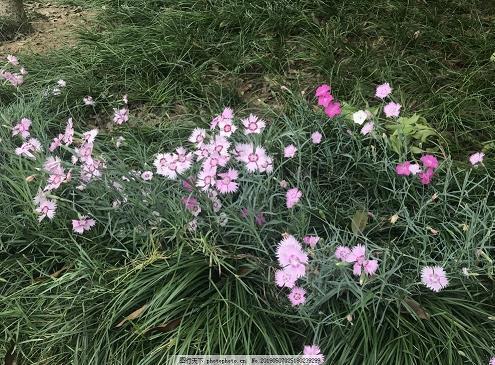 每日一条晚安语录集合21句