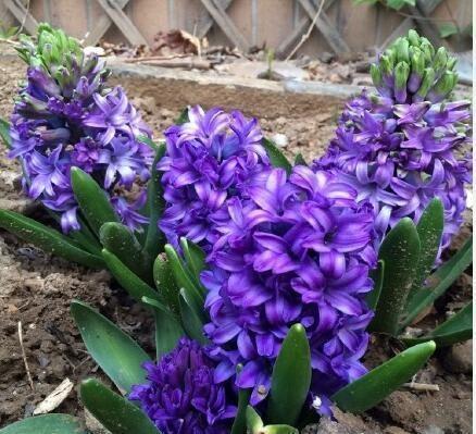 唯美幸福短句 唯美幸福的句子汇总43句