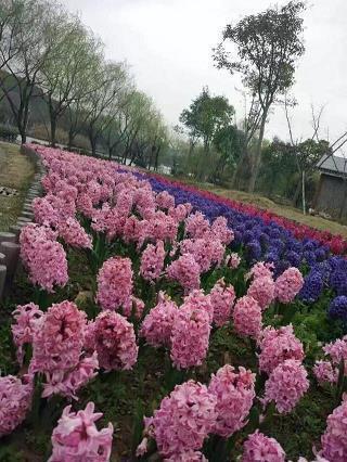 爱情说说：喜欢一个人的说说40句