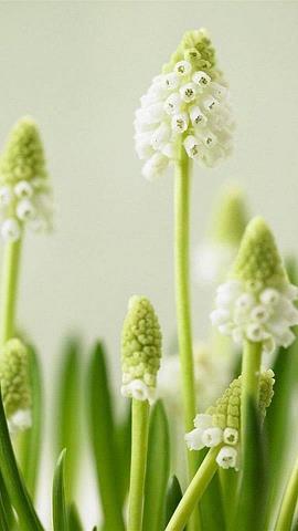 适合下雪发朋友圈文案(精选66句)