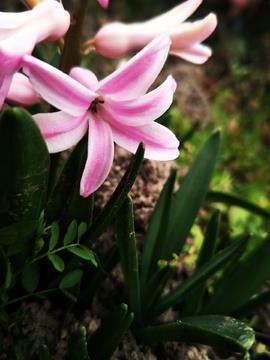 让人开心一点的句子说说心情