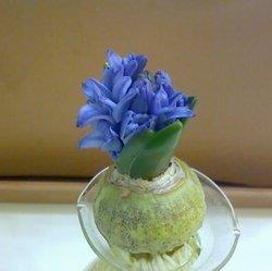 中秋佳节祝福短语大全