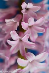 梁实秋经典语录大全