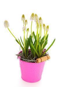 早上群发问候语回复率高的句子(精选26句)