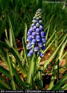 描写心情平静的诗句