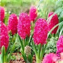 微信早安语录推荐35句