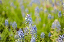 关于努力不后悔的句子