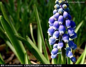 有关微笑的正能量句子合集81句