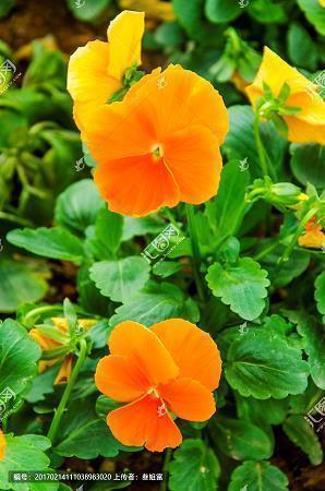 有关于假期的唯美句子摘录24句