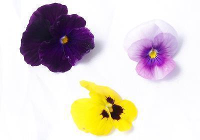 早安鼓励自己的话图片 每天早上鼓励人的话语汇编35句