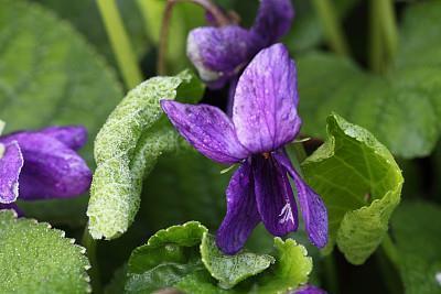 表示聚会开心的句子 喝酒聚会开心的句子