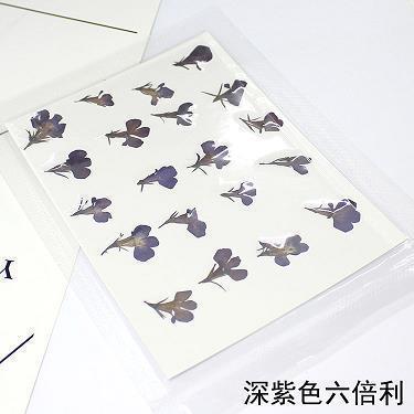 对老婆失望了的句子