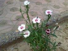 热门文案短句(精选100句)