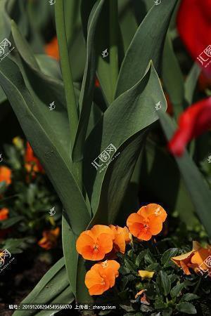2022新年祝福语简短又洋气的朋友圈说说文字最新推荐55句
