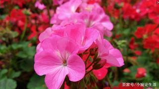 早安语录 适合发朋友圈早安的句子汇总37句