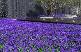 安静忧伤唯美的句子 淡淡的忧伤的句子(精选42句)