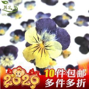 适合早上发的文案短句汇总30句